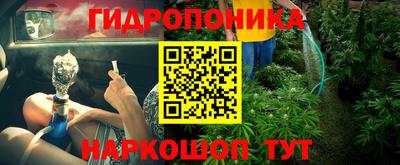 СК Краснознаменск