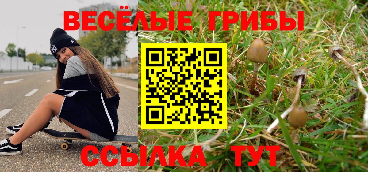 Черкесск  Псилоцибиновые грибы мицелий  Вход с VPN 