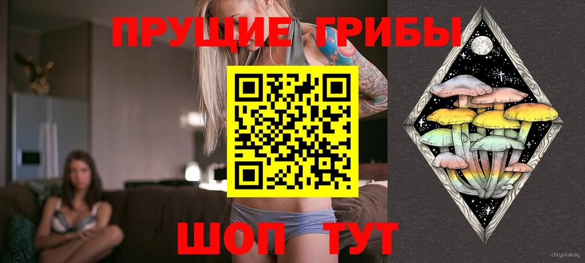 Галлюциногенные грибы Cubensis Черкесск